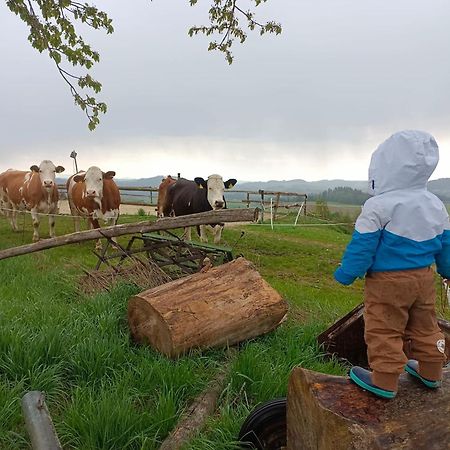 Ferienwohnung Im Muehlviertler Panorama Vierseithof Lembach im Mühlkreis Eksteriør bilde